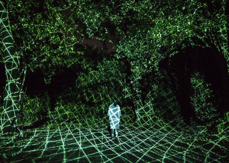©チームラボ/©teamLab (image for illustration purposes)