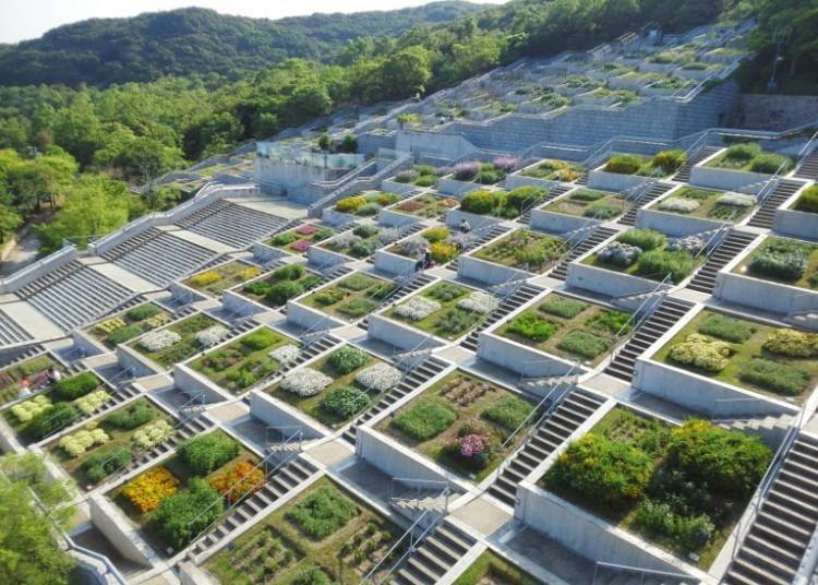 "Hyakudan-en" has 100 flower beds that follow the slope of the mountain in a step-like fashion. (Photo credit: Awaji Yumebutai）