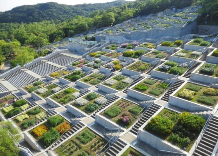 沿著山坡以階梯狀並排著100座花壇「百段苑」（照片提供：淡路夢舞台）