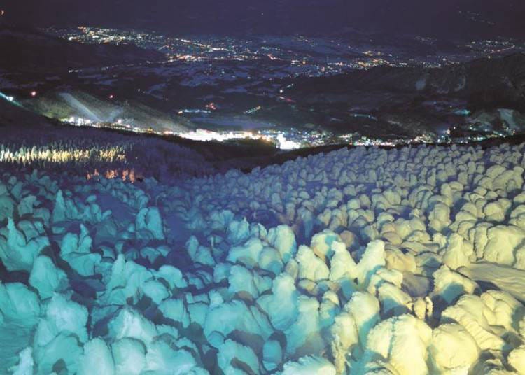树冰夜间灯光秀（山形县）