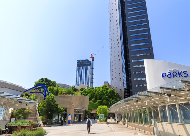 (图片来源:PIXTA)