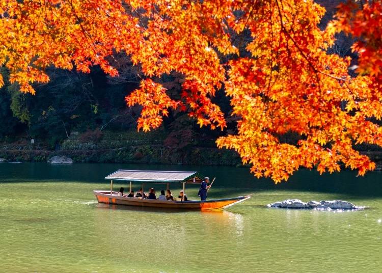 Autumn is a particularly popular time of year to visit Arashiyama. (Photo: PIXTA)