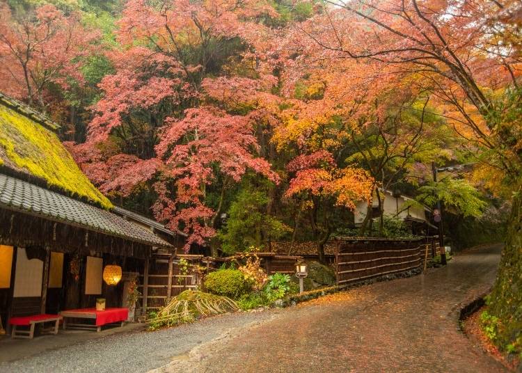 Where You Should Stay In Arashiyama: Best Areas & Hotels For Visitors ...