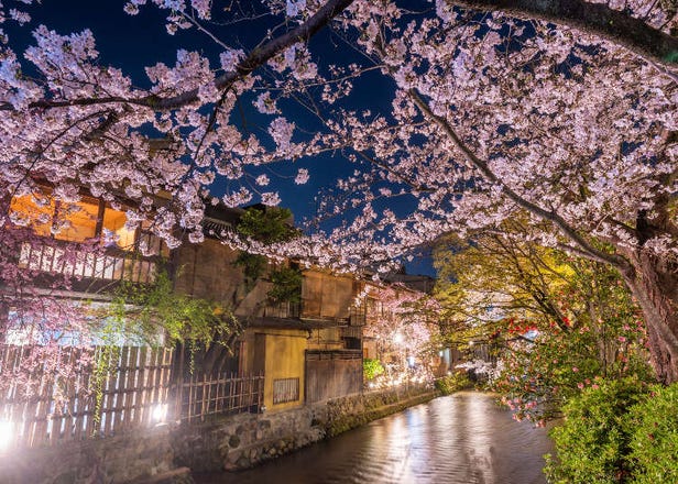 祇園住宿17選：祗園四條、東山站等推薦住宿區域＆熱門飯店、旅館清單