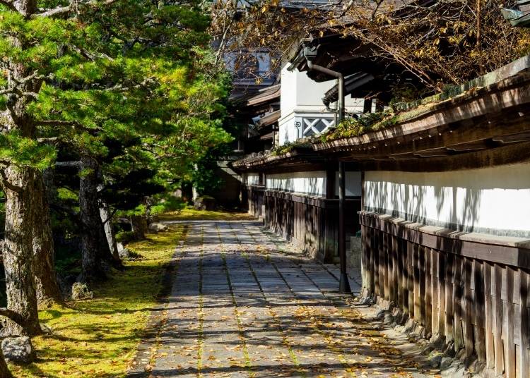 The Koyasan area is a wonderful place to spend a few hours wandering around (Image: PIXTA)