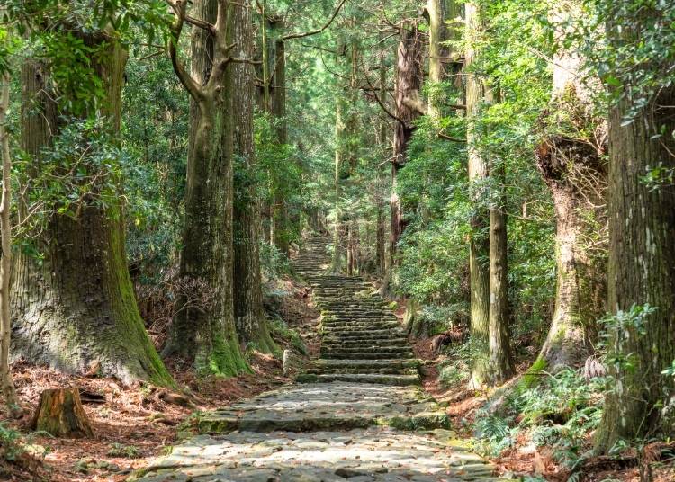 The Kumano Kodo is an ancient pilgrimage path popular with foreign travelers. The area around Kii-Katsuura Station makes a good place to stay when preparing for your hike. (Image: PIXTA)