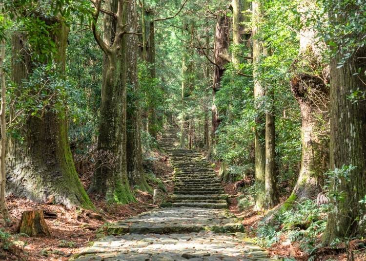 구마노 고도는 외국인 여행자에게 인기 있는 고대 순례길입니다. 기이가쓰우라역 주변은 하이킹을 준비할 때 머물기에 좋은 곳입니다.(Image: PIXTA)