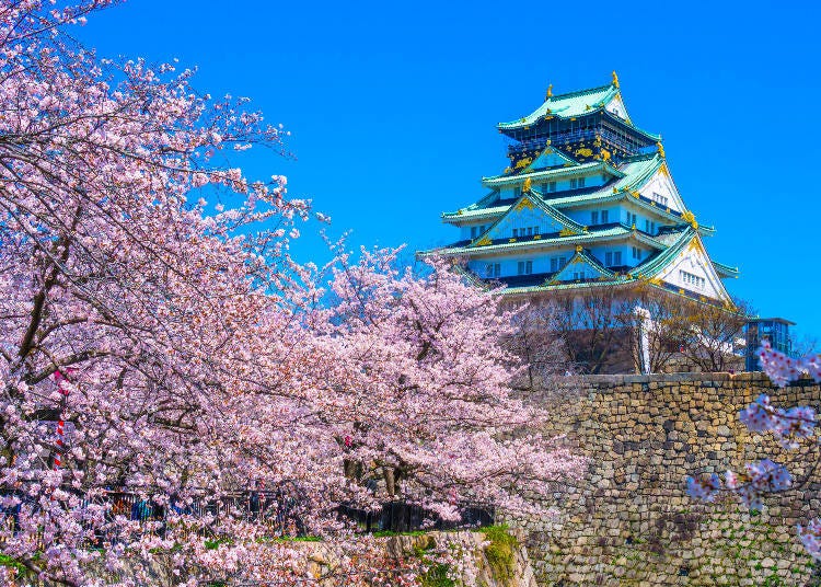 櫻花季的大阪城　圖片來源：PIXTA