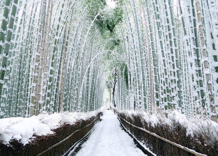 Image source: PIXTA