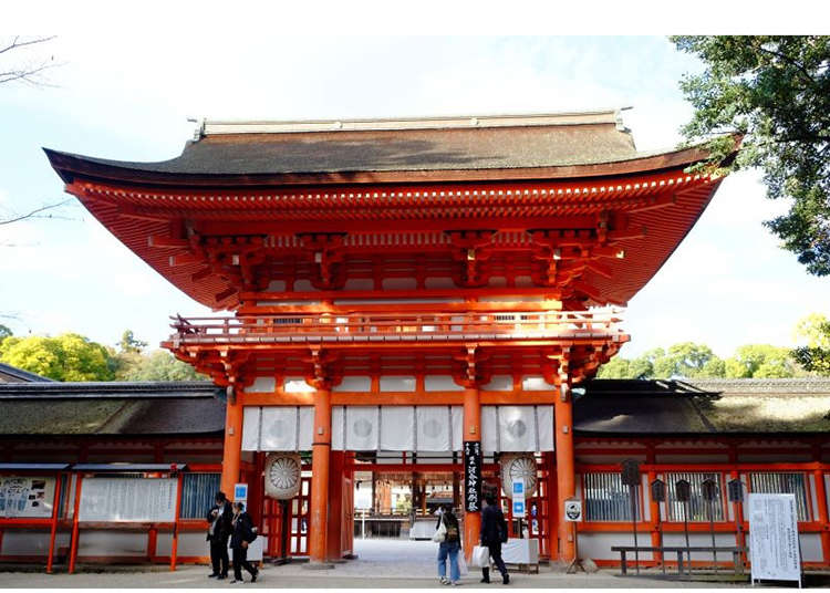 二条城、京都御苑、下鸭神社——在京都的“洛中”地区骑自行车观光，与自然、历史和城市的生机亲密接触