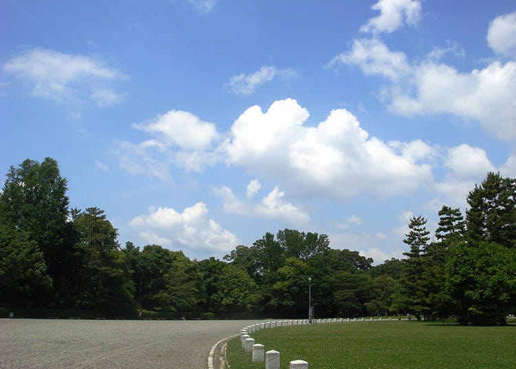 6. See incredible shogunate artifacts at the Former Imperial Villa (Nijo Castle)