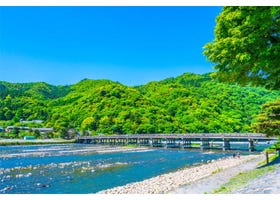 开启岚山嵯峨之旅。骑自行车游览京都风景绝美的“洛西地区”