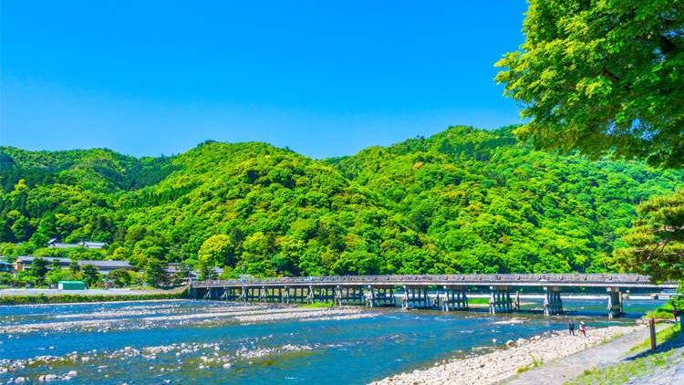 嵐山嵯峨的自行車之旅！置身絕美的京都「洛西地區」