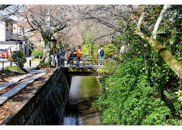 京都らしい風景を満喫！レンタサイクルで巡る京都・洛東エリアおすすめ観光コース