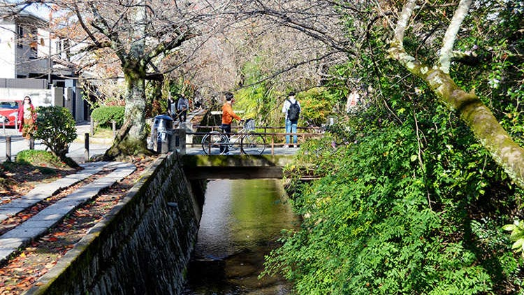 尽情观赏京都特有的美景吧！租赁自行车骑行的京都洛东地区推荐观光路线