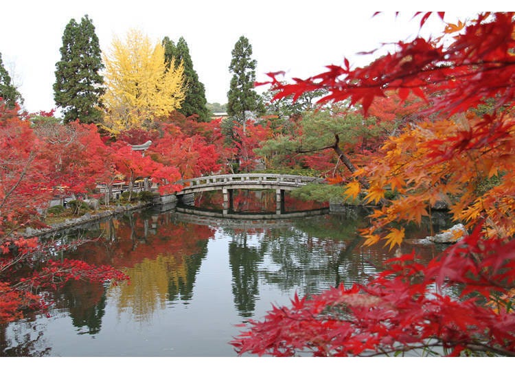 Reflections of Japanese maples and the Gokurakubashi bridge on Hōjōchi pond make for beautiful combination (Gokurakubashi is off-limits during the fall season)