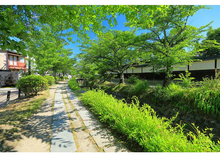 「日本の道100選」にも選ばれた風光明媚な散歩道