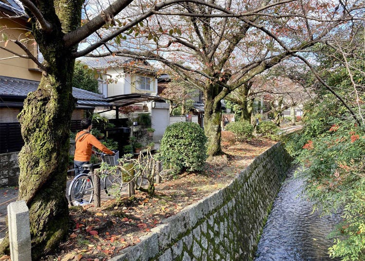 自転車に乗って走行できますが、のんびり景色を楽しみながら押して歩くのもおすすめです