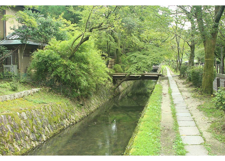 被選為「日本道路百選」之一,風光明媚的步道。 / Photo provided by Kyoto City Water Supply and Sewerage Bureau