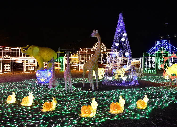 Enjoy a Light-Up See-Saw in the Zoo Area!