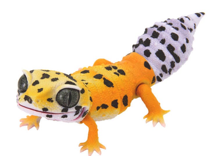 Ikimono Encyclopedia Repti Leopard Gecko (©BANDAI)