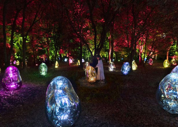 Get Lost in a Digital Wonderland of Plants and Light at teamLab Botanical Garden Osaka