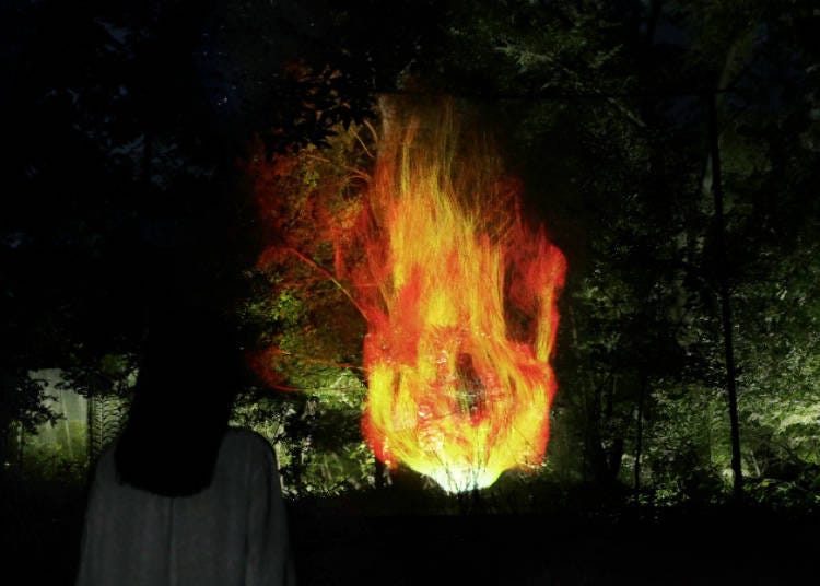 チームラボ《森に憑依する炎 - 二次林》©チームラボ