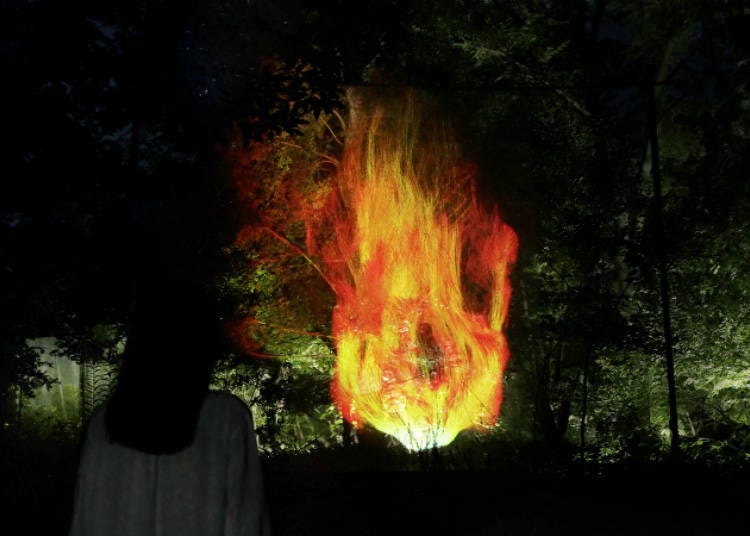 팀랩 <숲에 빙의하는 불꽃 – 2차 숲> © 팀랩