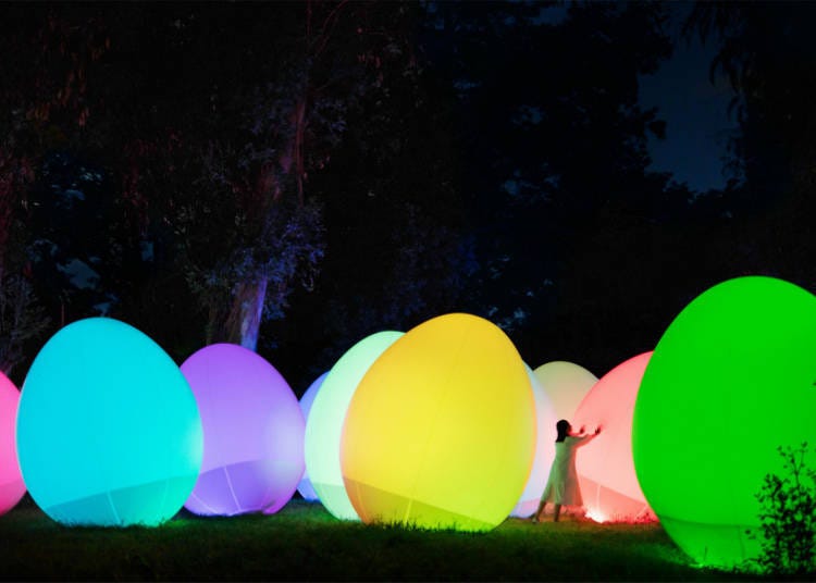 teamLab《直立並呼應的生命森林 ── 桉樹》©teamLab