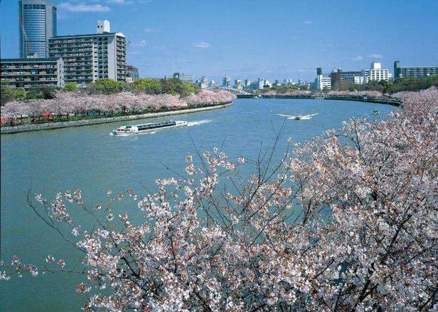 【大阪】桜の名所近くのおすすめホテル10選！大阪城公園や造幣局も徒歩で行ける