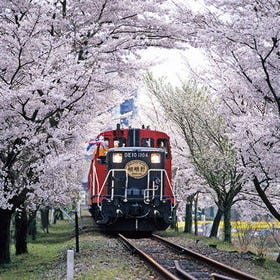 Arashiyama Sagano Scenic Tram and Hozugawa River Rafting Experience Day tour from Osaka
Image: Klook