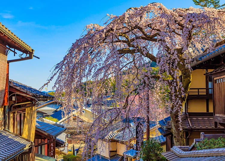 Just northwest of Kiyomizu-dera Temple is the quaint area of Sannenzaka, an area with traditional shops on a hill. (Photo: PIXTA)