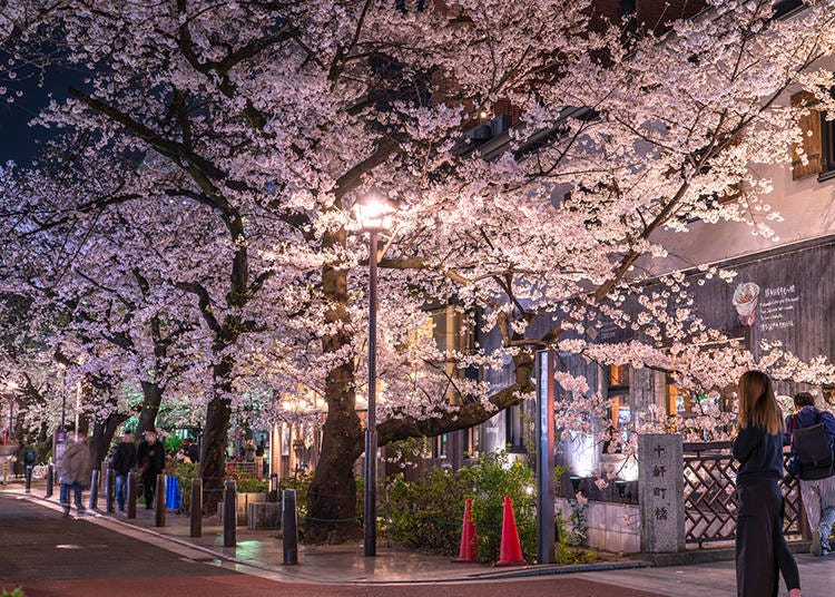 Kiyamachi Street in Kyoto is a bustling nightlife district lined with restaurants, bars, and traditional Japanese establishments. (Photo: PIXTA)