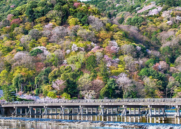Togetsukyo Bridge in Kyoto is a picturesque landmark spanning the Katsura River, offering stunning views of the surrounding Arashiyama mountains. (Photo: PIXTA)