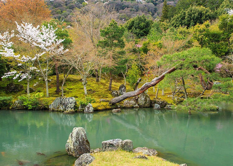 Tenryu-ji Temple is a UNESCO World Heritage Site and a serene Zen temple with a beautiful garden, originally built in the 14th century. (Photo: PIXTA)