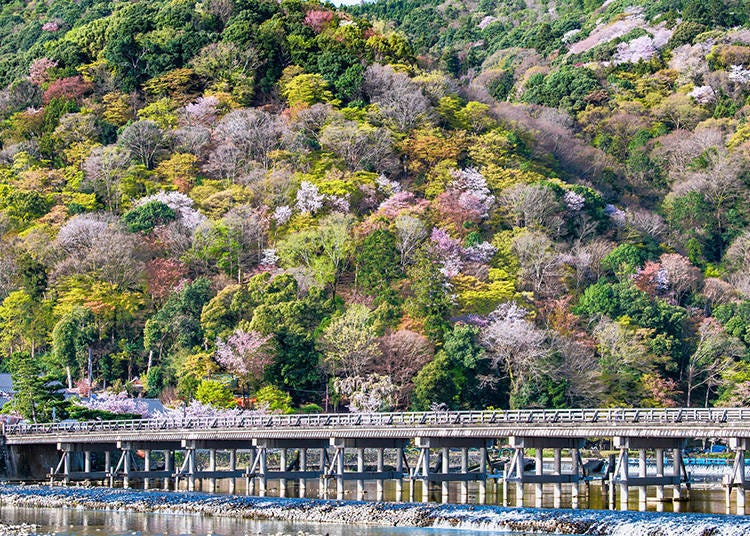 교토의 도게쓰교는 가쓰라 강 위를 가로지르는 랜드마크로 아라시야마 산과 어우러져 그림 같은 경치를 즐길 수 있다 (Photo: PIXTA)