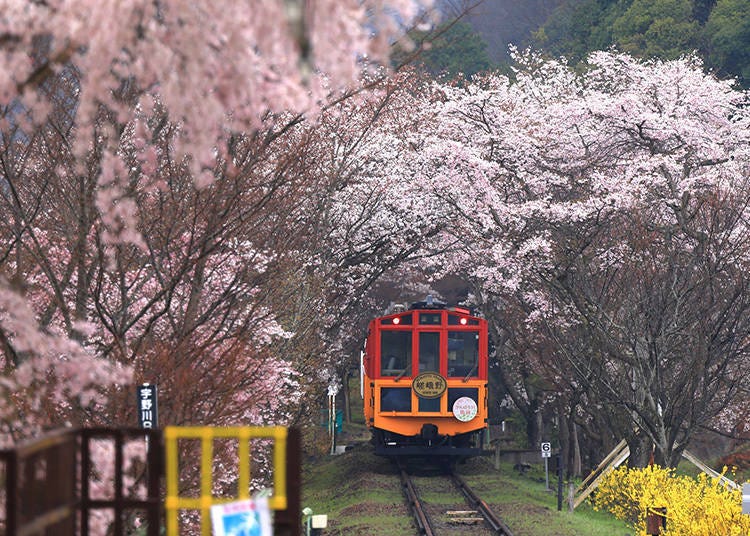 搭乘小火車盡覽旅途風光 (照片: PIXTA)