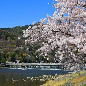 京都＆奈良一日遊（大阪／京都出發）
Image: Klook