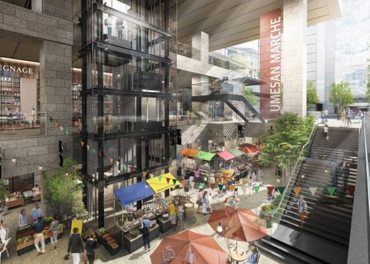 KITTE Osaka: A Hub for Japanese Gourmet & Souvenirs (Opening in July 2024)