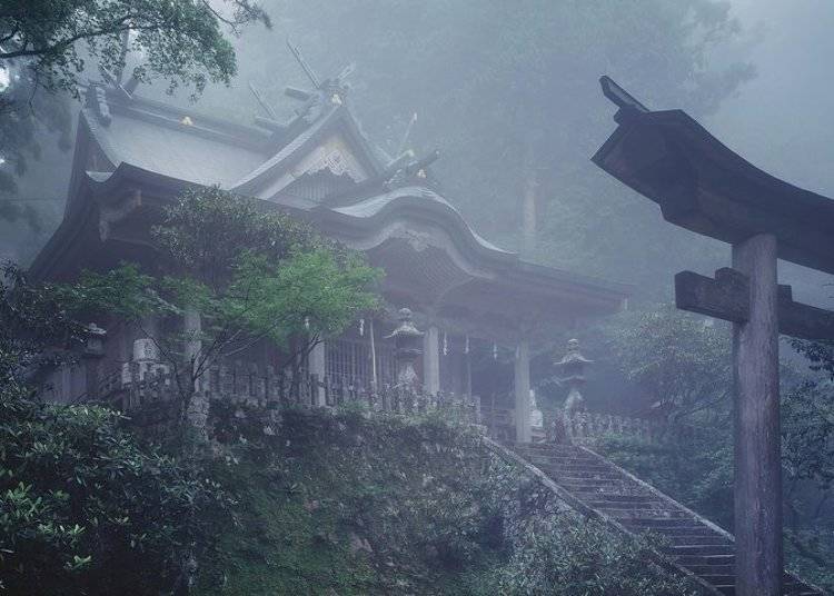 （圖片來源：Viator）