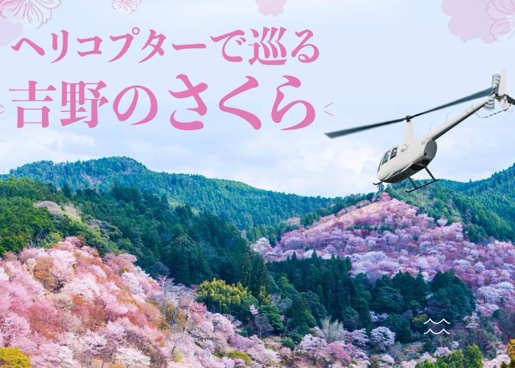 写真はイメージです
