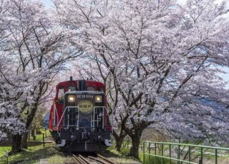 照片來源：KKday Japan