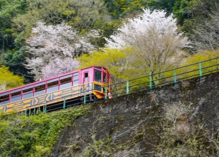 照片來源：KKday Japan