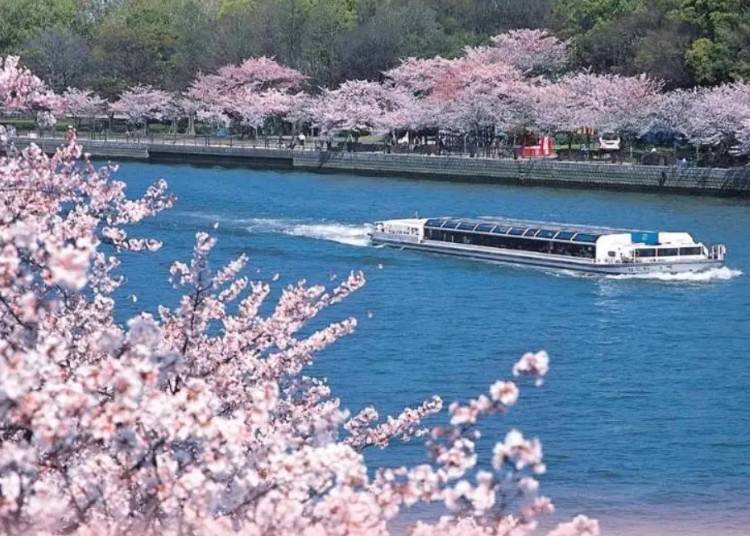照片來源：KKday Japan