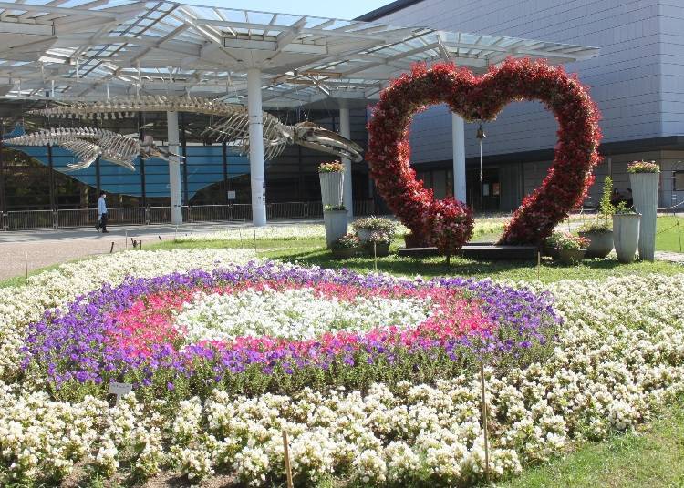 The Grand Flower Bed in front of the Osaka Museum of Natural History. (Photo: PIXTA)