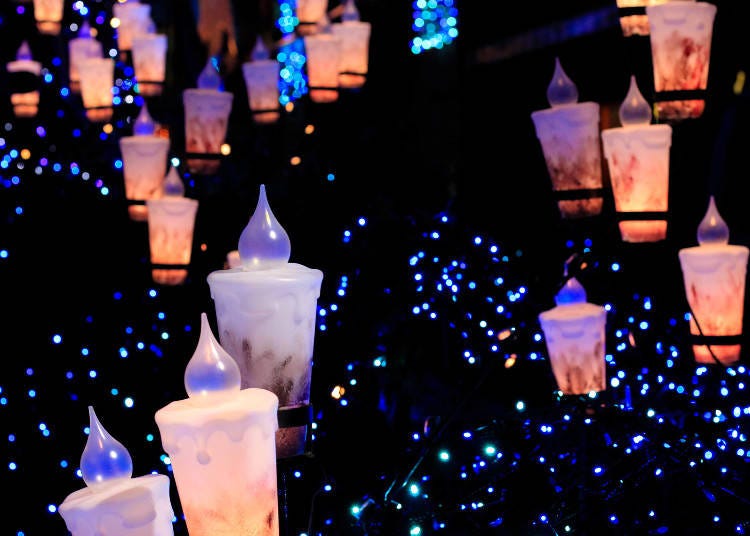 枚方公園的夜間燈飾示意照｜照片取自：PIXTA