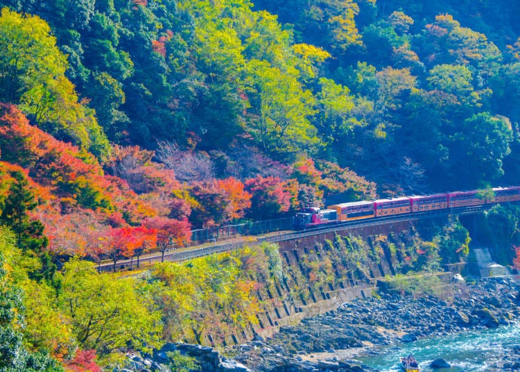穿梭溪谷中優雅賞楓──嵯峨野遊覽小火車