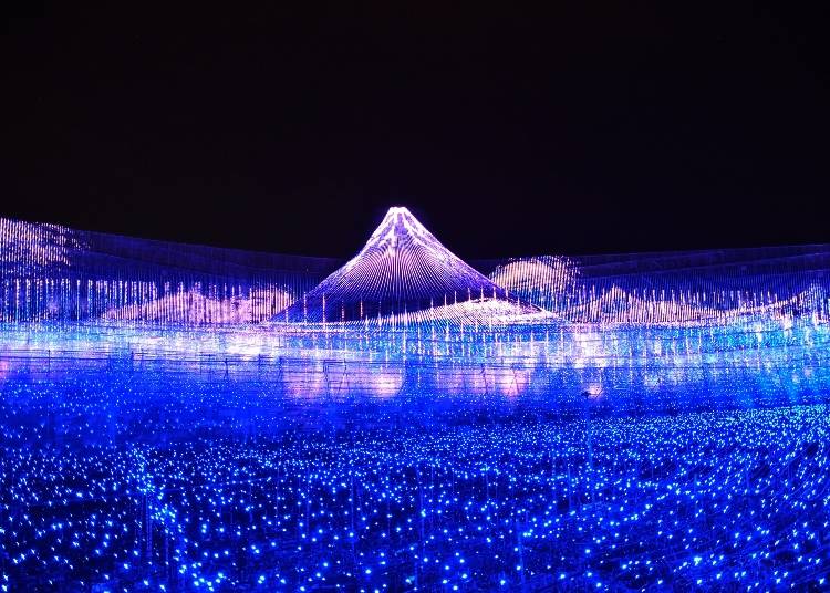 Winter illumination at Nabana No Sato (Photo: PIXTA)