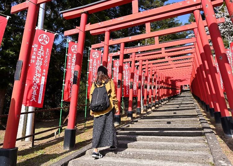 3. Ojiyama Makekirai Inari: Enjoy a scenic walk through the red torii gates