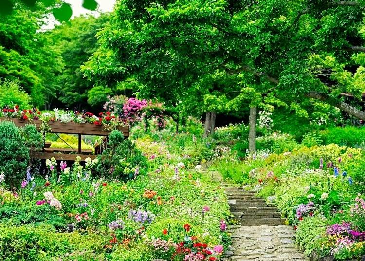 Kobe Nunobiki Herb Garden’s “GARDEN FEST 2023” (Kobe City, Hyogo Prefecture)